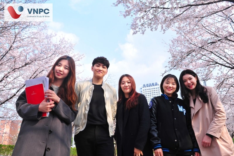 KING88 là nhà cái giải trí đỉnh cao Hàn Quốc vừa học vừa làm